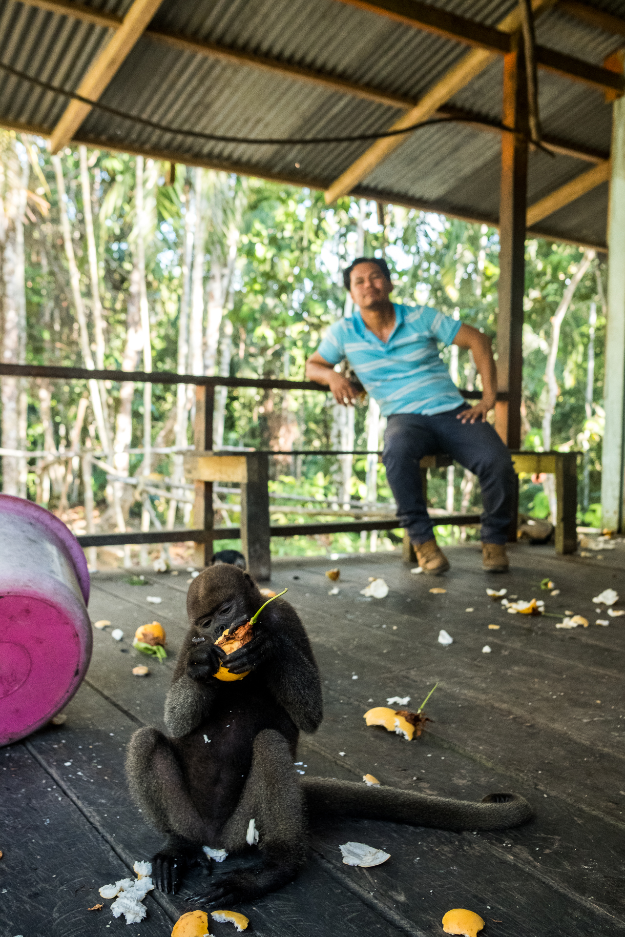 Jhon Vásquez, director de la Fundación Maikuchiga, con un mono churuco en proceso de rehabilitación. Jhon ha trabajado durante 20 años en conservación. Foto: Lia Valero.
